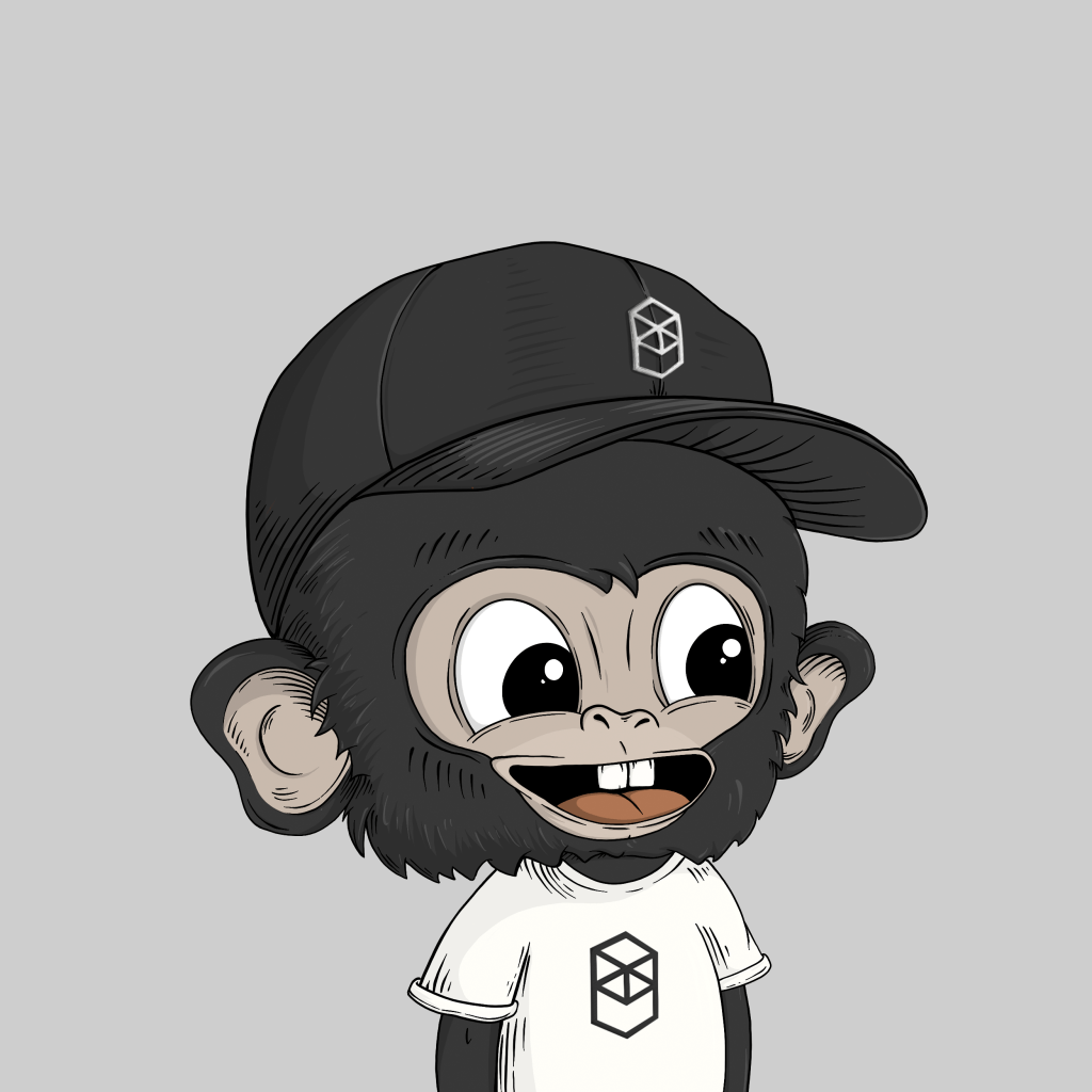 NFTs: BabyChimpGang